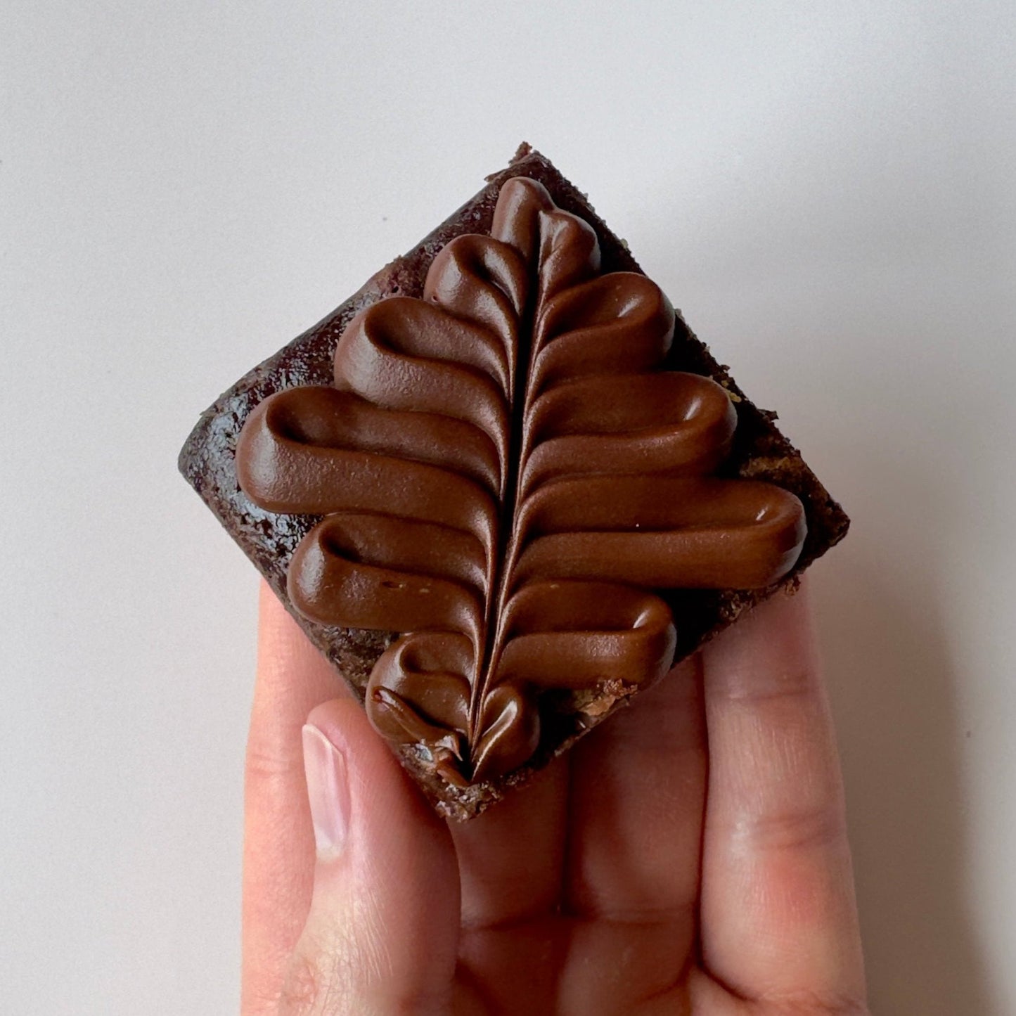 Nutella Fudgy Brownies